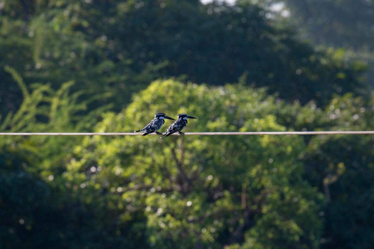 Dera Baghdarrah Nature Retreat Udaipur Exterior photo
